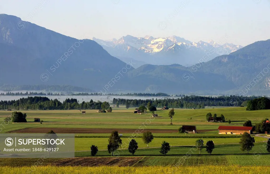 Cultivated landscape near Sindelsdorf, Wetterstein mountain range, Blaues Land region, Upper Bavaria, Bavaria, Germany, Europe