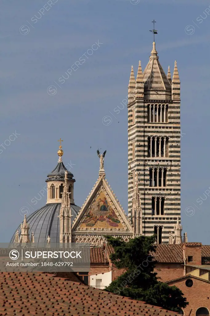 Campanile, bell tower, crossing dome and the gable of the main façade, Siena Cathedral, Cathedral of Santa Maria Assunta, Siena, Tuscany, Italy, Europ...