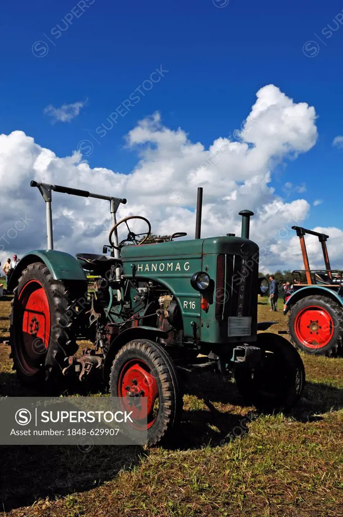 Hanomag R16 tractor, built in 1957, classic tractor convention, Morschreuth, Upper Franconia, Bavaria, Germany, Europe