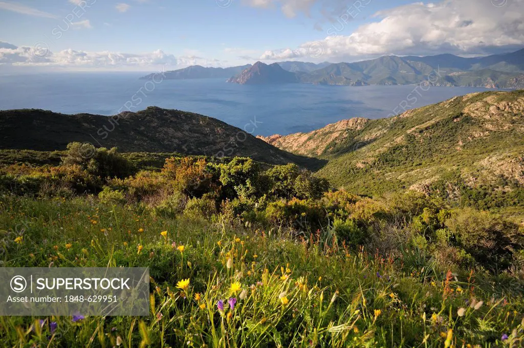 West coast of Corsica in the evening light, France, Europe