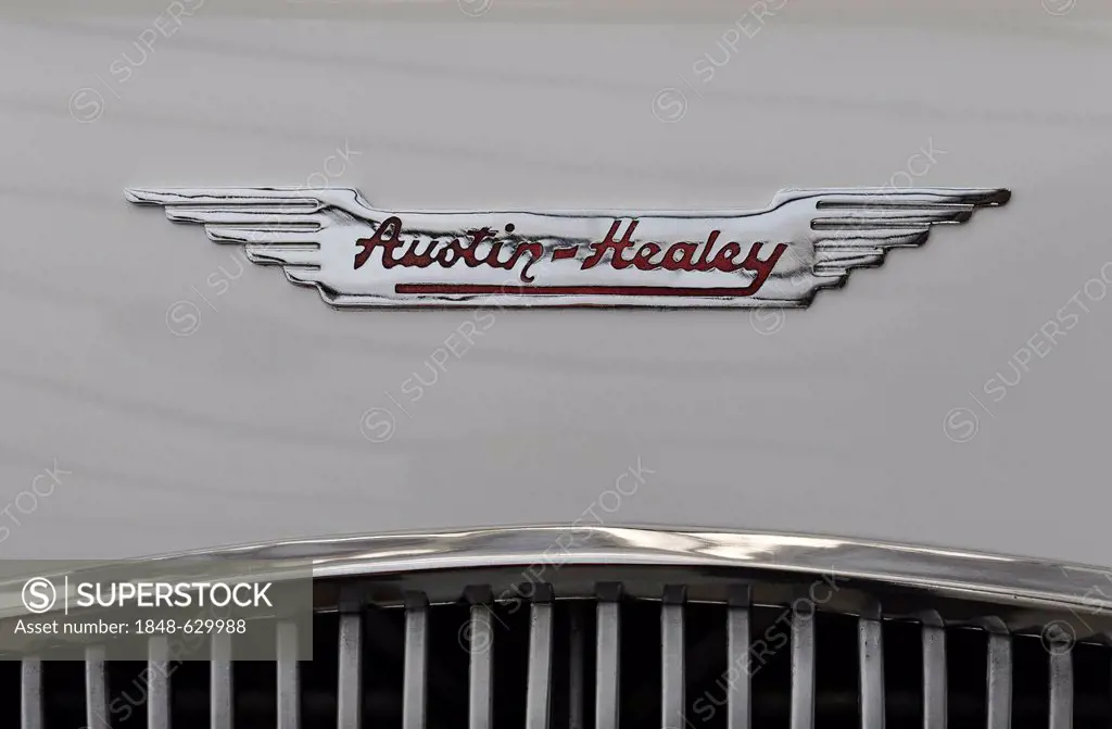Austin-Healey logo on the hood, British car brand
