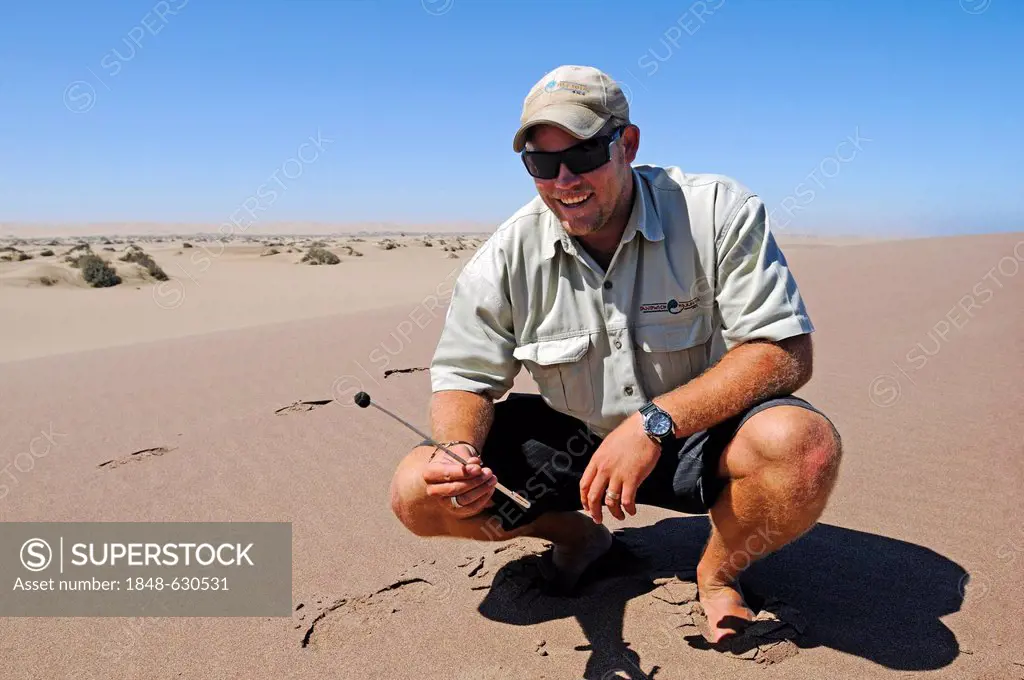 Travel guide demonstrating magnetic sand, magnetite, Namib Naukluft National Park, part of the Namibian Skeleton Coast National Park, Skeleton Coast, ...