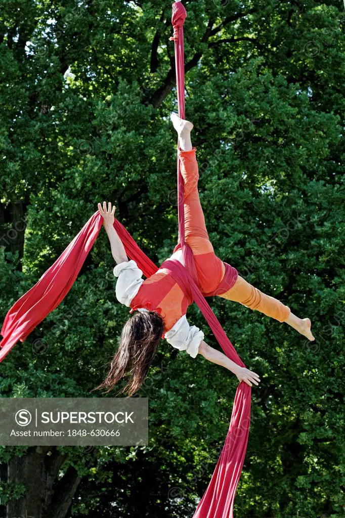 Artist in a medieval costume hanging upside down on a vertical cloth, Ashra, trapeze artist, Flachsmarkt, flax market, annual event, Krefeld-Linn, Ger...