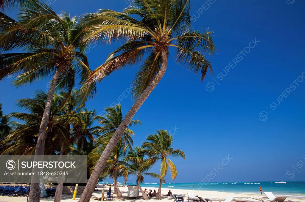 Bavaro Beach in Punta Cana, Dominican Republic
