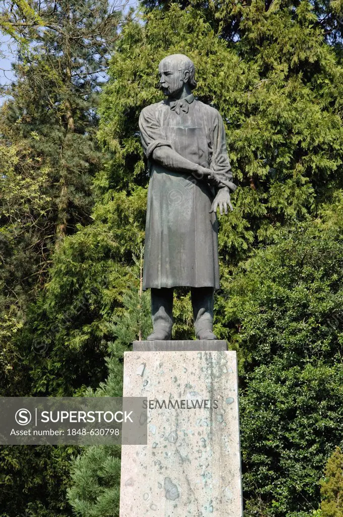 Semmelweis Memorial, Botanical Garden, Heidelberg, Baden-Wuerttemberg, Germany, Europe