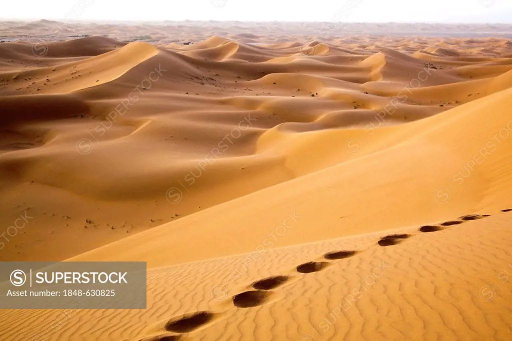 Dunes, Erg Chegaga region, Sahara desert near Mhamid, Morocco, Africa