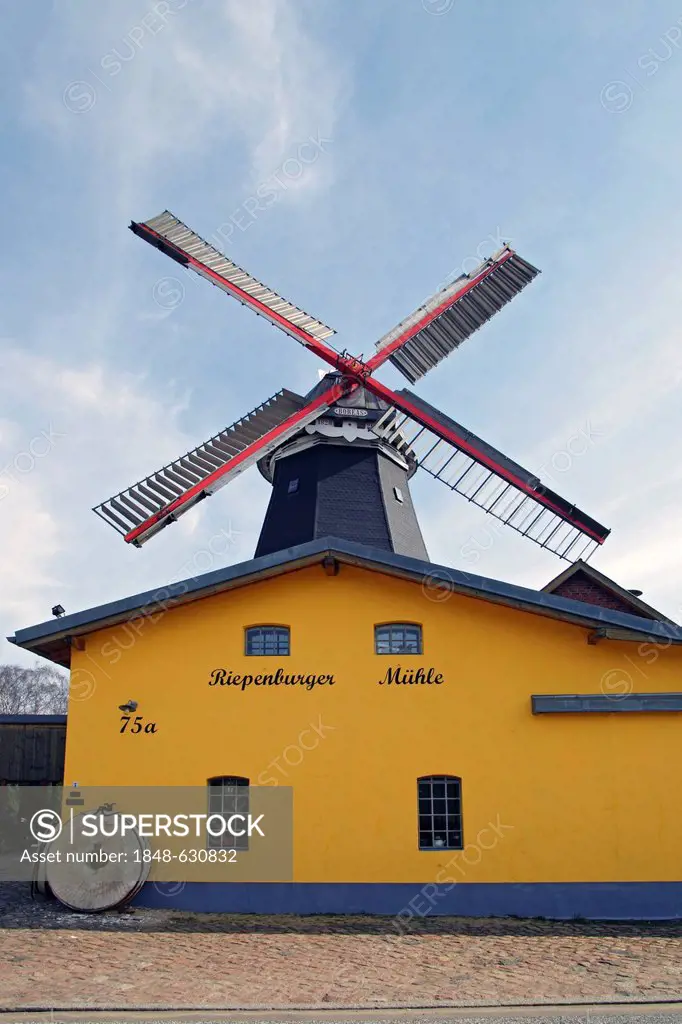 Riepenburger Muehle Boreas windmill in dutch style, Kirchwerder, Vierlande, Vier- und Marschlande, Hamburg, Germany