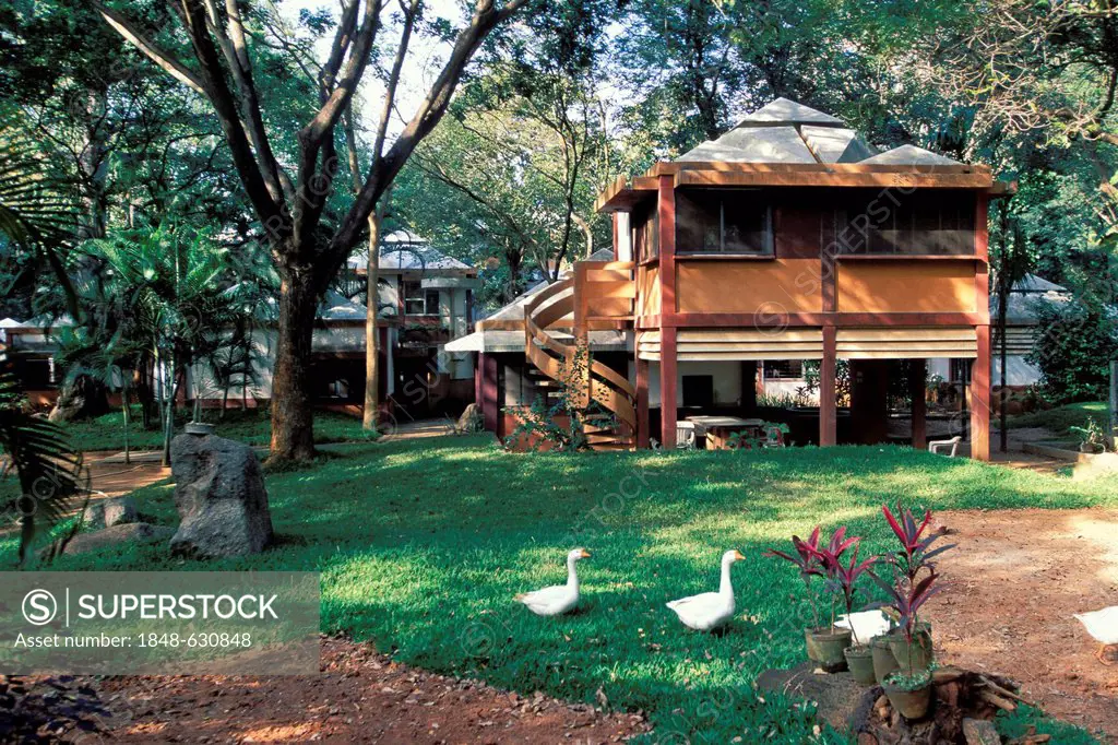 Alternative architecture, house and garden, Auroville, experimental township, futuristic, near Pondicherry or Puducherry, Tamil Nadu, India, Asia
