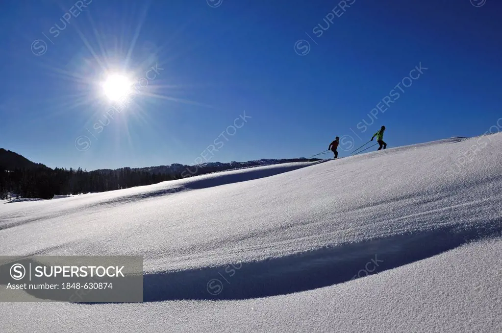Cross-country skiers, Reit im Winkl, Chiemgau region, Bavaria, Germany, Europe
