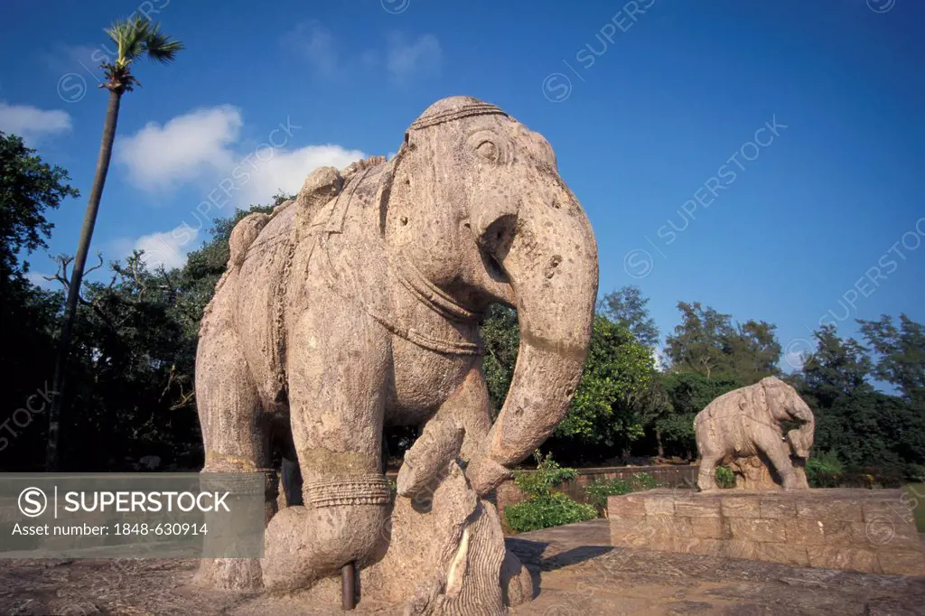 Stone elephants, Surya or Sun Temple, UNESCO World Heritage Site, Konarak or Konark, Orissa, East India, India, Asia