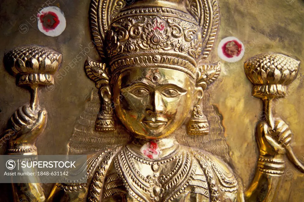 Goddess Laxmi, detail view of gold jewellery for elephants, Pooram Festival, Thrissur, Kerala, South India, India, Asia
