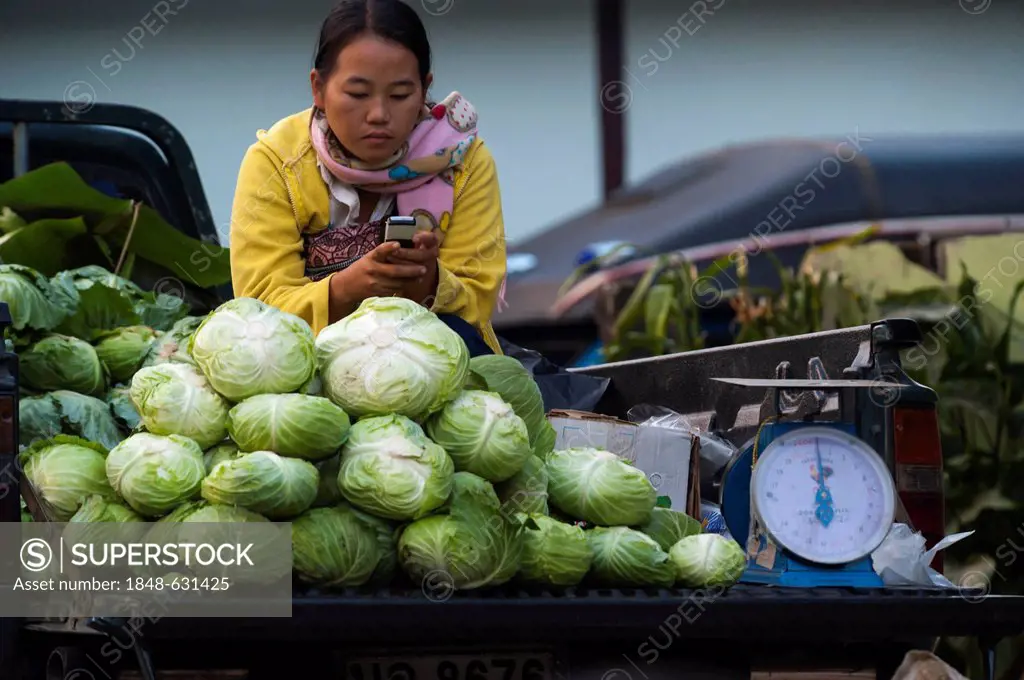Vendor with a mobile phone selling green cabbage at a vegetable stall, market, Bin Hin Taek or Therd Thai or Thoed Thai, Northern Thailand, Thailand, ...