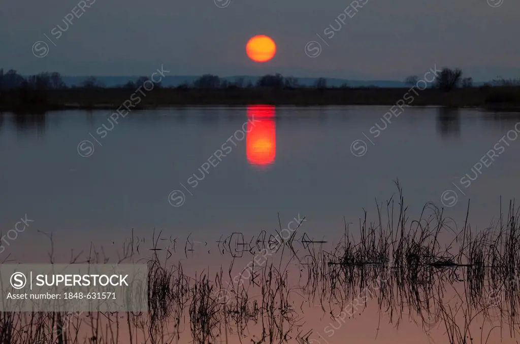 Sunset on the lake, Nationalpark Neusiedlersee national park, Burgenland, Austria, Europe