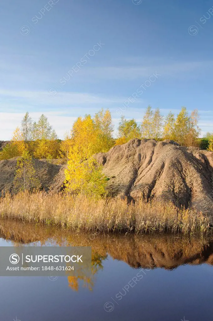 Strip mining reclamation area in autumn, Saxony, Germany, Europe