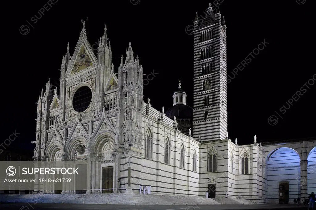 Siena Cathedral, Cathedral of Santa Maria Assunta at night, Siena, Tuscany, Italy, Europe