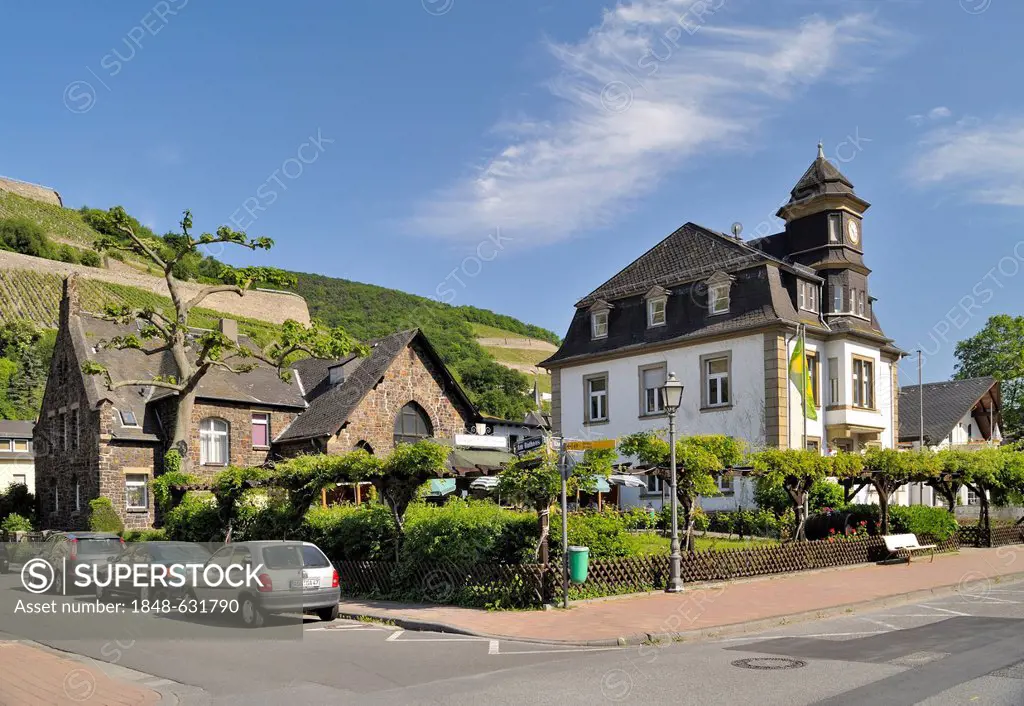 C. TH. Bauer Vineyard, Assmannshausen, Upper Middle Rhine Valley, a Unesco World Heritage Site, Rhineland-Palatinate, Germany, Europe