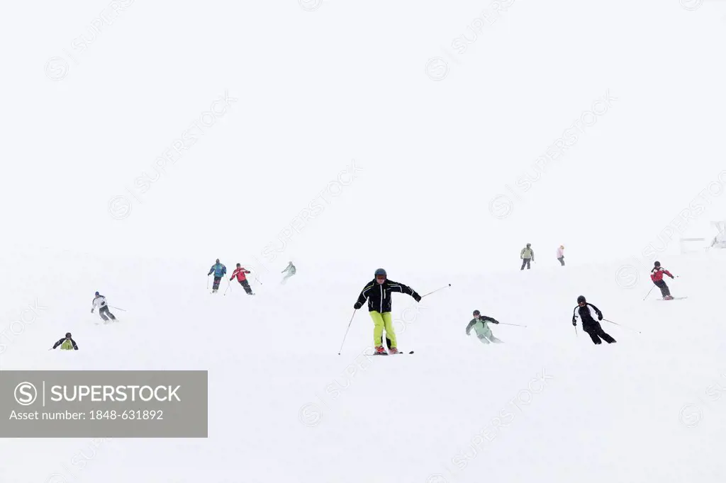 Hochkar ski resort near Goestling an der Ybbs, Mostviertel, Must Quarter, Lower Austria, Austria, Europe