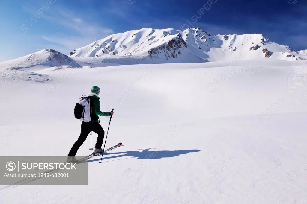 Cross-country skier, Pfoner Kreuzjoechl Mountain, Tux Alps, Tyrol, Austria, Europe