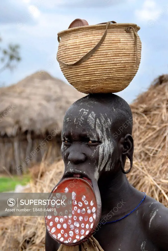 Portrait woman of the Mursi people wearing a big colourful lip plate and balances a basket on her head Ethiopia