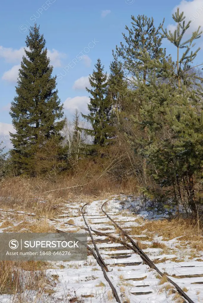 Tracks of a narrow-gauge railway for transporting peat, Stammbecken Moor, near Rosenheim, Bavaria, Germany, Europe