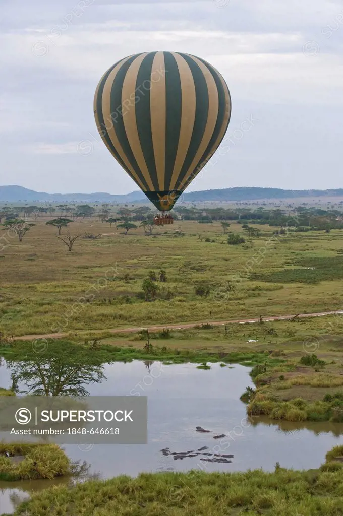 Hot air balloon ride over the Serengeti, Tanzania, Africa