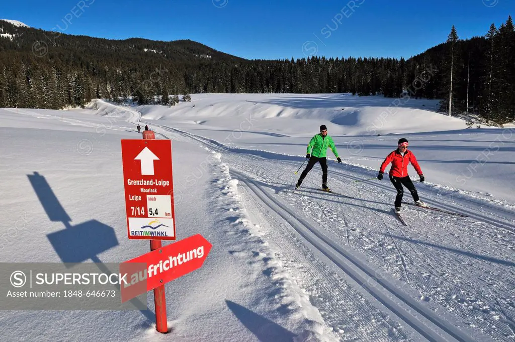 Cross-country skiers, Winklmoosalm alp, Reit im Winkl, Chiemgau region, Bavaria, Germany, Europe