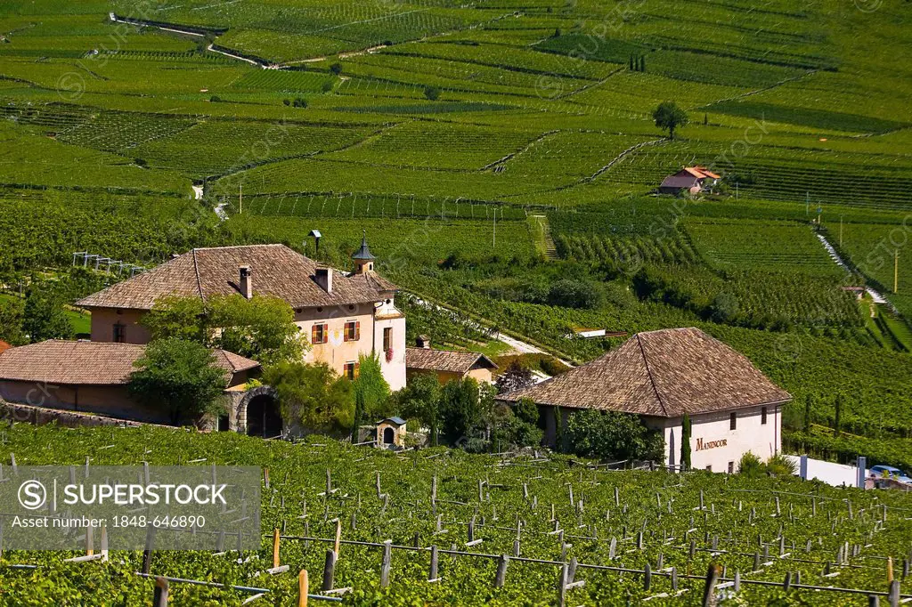 Weinhof Winery on Kalterer See or Lake Kalterer, South Tyrol, Italy, Europe