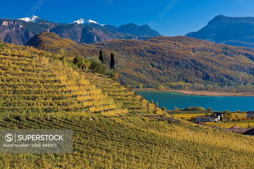 Autumn landscape around Lake Kaltern or Kalterer See, South Tyrol, Italy, Europe