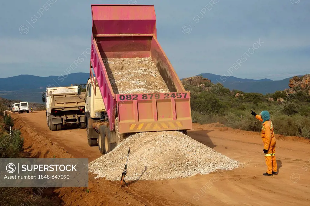 Dump truck unloading gravel on a street, road construction in the Cederberg region in Clanwilliam, Western Cape, South Africa, Africa
