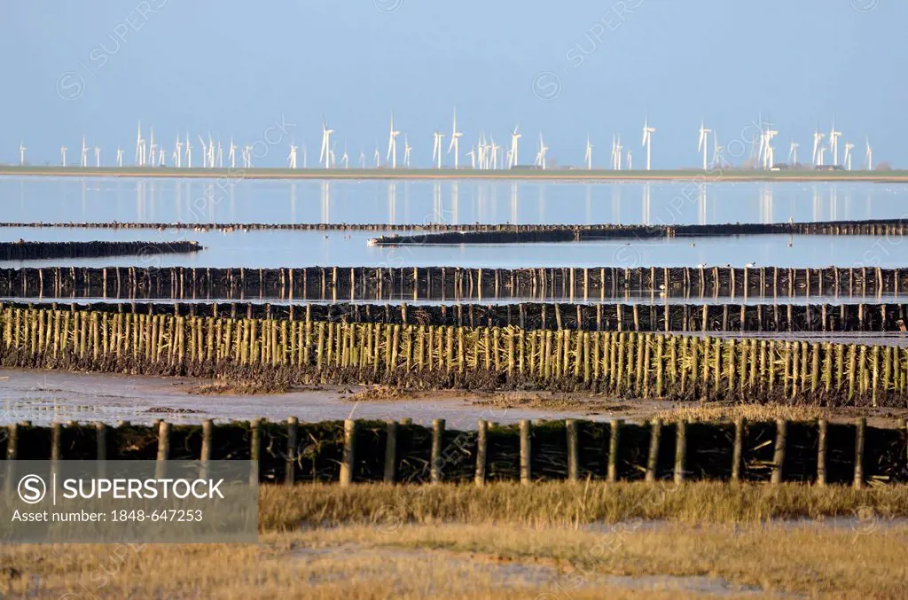 Groynes and wind turbines in the floodplains at Dockkoog near Husum, northern beach at back, Schleswig-Holstein Wadden Sea National Park, UNESCO World...