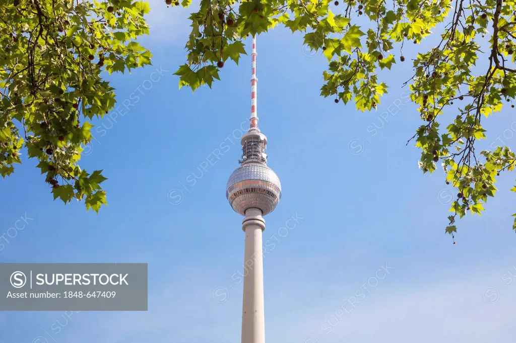 Fernsehturm television tower, Berlin, Germany, Europe