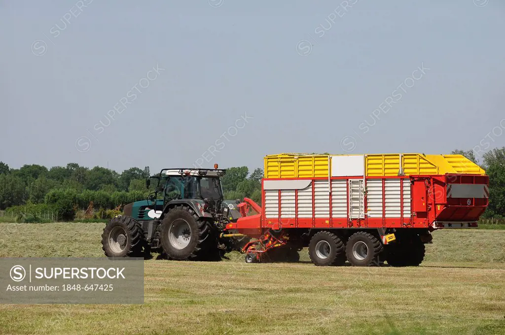 Tractor with a trailer, hay harvest
