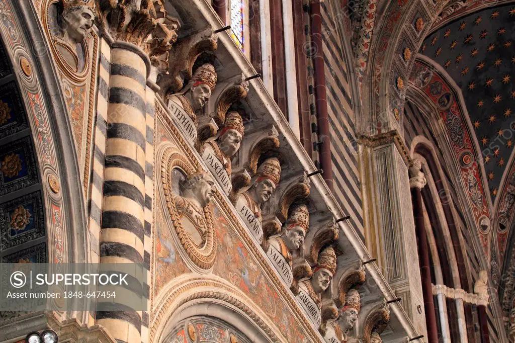 Busts of popes on the cornice of the nave, Siena Cathedral, Cathedral of Santa Maria Assunta, Siena, Tuscany, Italy, Europe
