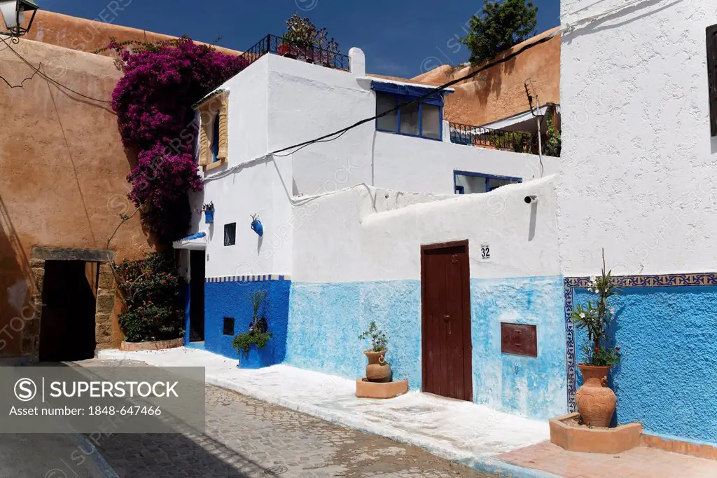 Blue-washed houses in the old town of Rabat, Rabat-Salé-Zemmour-Zaer, Morocco, North Africa, Maghreb, Africa
