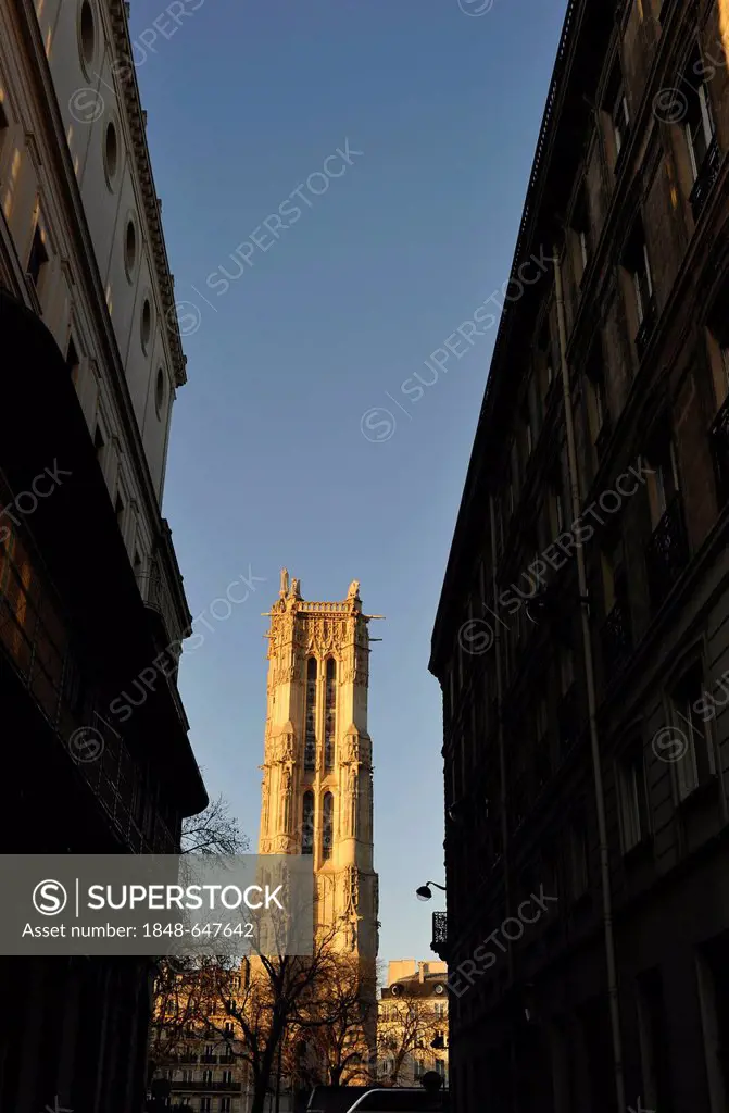 Gothic tower, Tour Saint-Jacques, in the evening light, Paris, France, Europe