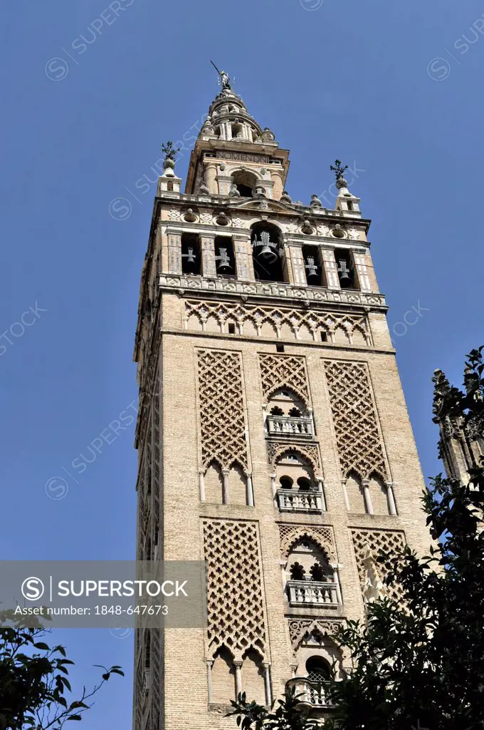 Giralda Tower, Seville Cathedral, Catedral de Santa María de la Sede, Seville, Andalusia, Southern Spain, Spain, Europe