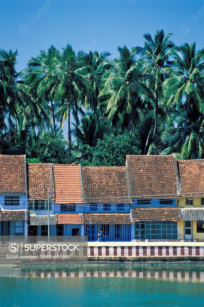 Palm trees and houses surrounding the temple pond, Tamil village near Kanyakumari or Kanniyakumari, the southernmost town of India, Tamil Nadu, South ...