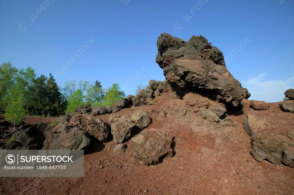 Volcanic rock at the foot of Puy de la Vache, Auvergne Volcanoes Natural Park, Puy de Dome, Auvergne, France, Europe