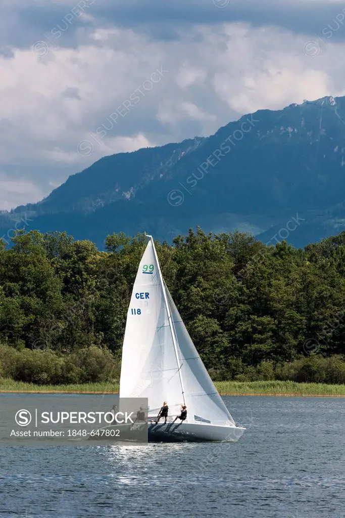 Sailboat on lake Chiemsee, Chiemgau Alps at the back, Upper Bavaria, Bavaria, Germany, Europe