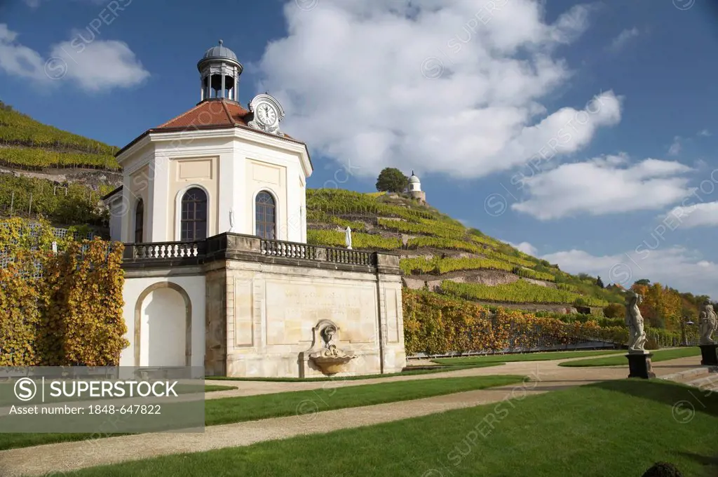 Belvedere of Wackerbarth Castle in the vineyard with Jacobstein, autumn, Radebeul, Saxony, Germany, Europe