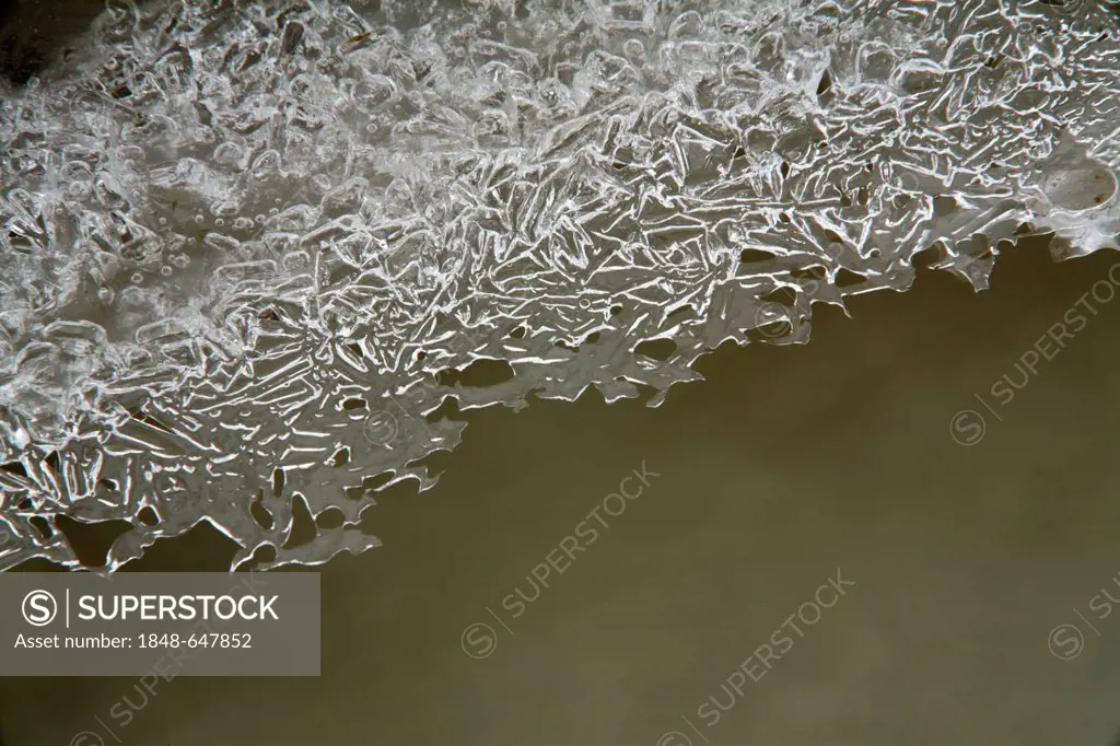 Ice crystals in a small stream in Reit im Winkel, Bavaria, Germany, Europe