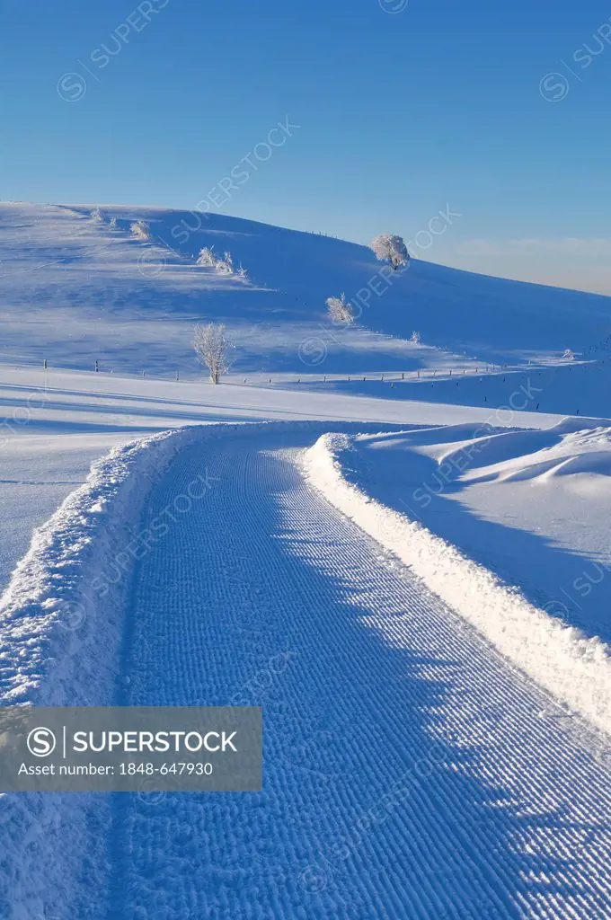 Cross-country ski run on Schauinsland Mountain, Black Forest, Baden-Wuerttemberg, Germany, Europe