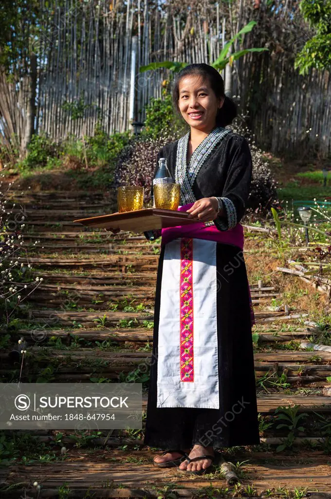 Traditionally dressed smiling waitress serving drinks, woman from the Black Hmong hill tribe, ethnic minority from East Asia, Northern Thailand, Thail...