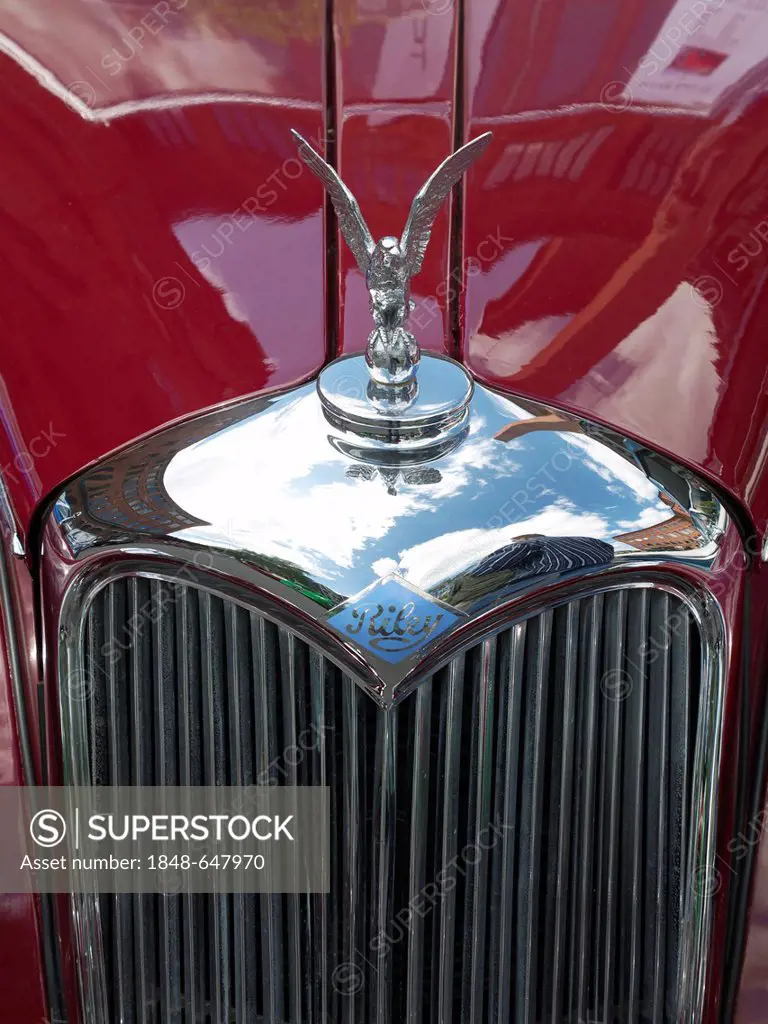 Grille with hood ornament of a classic Riley car