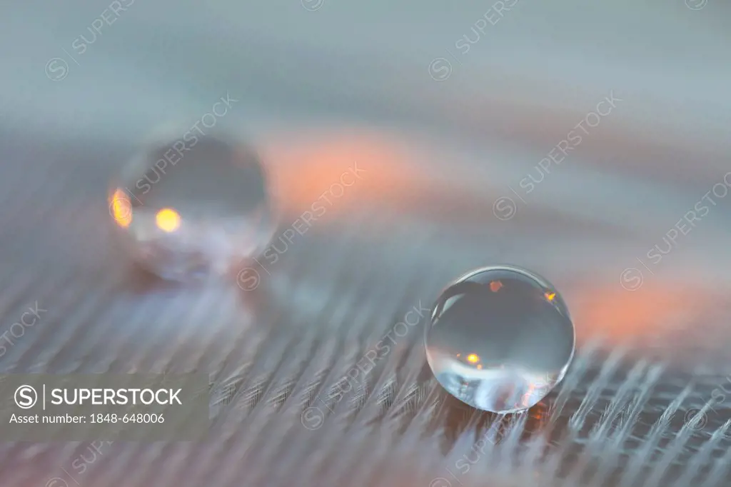 Water droplet on a white feather