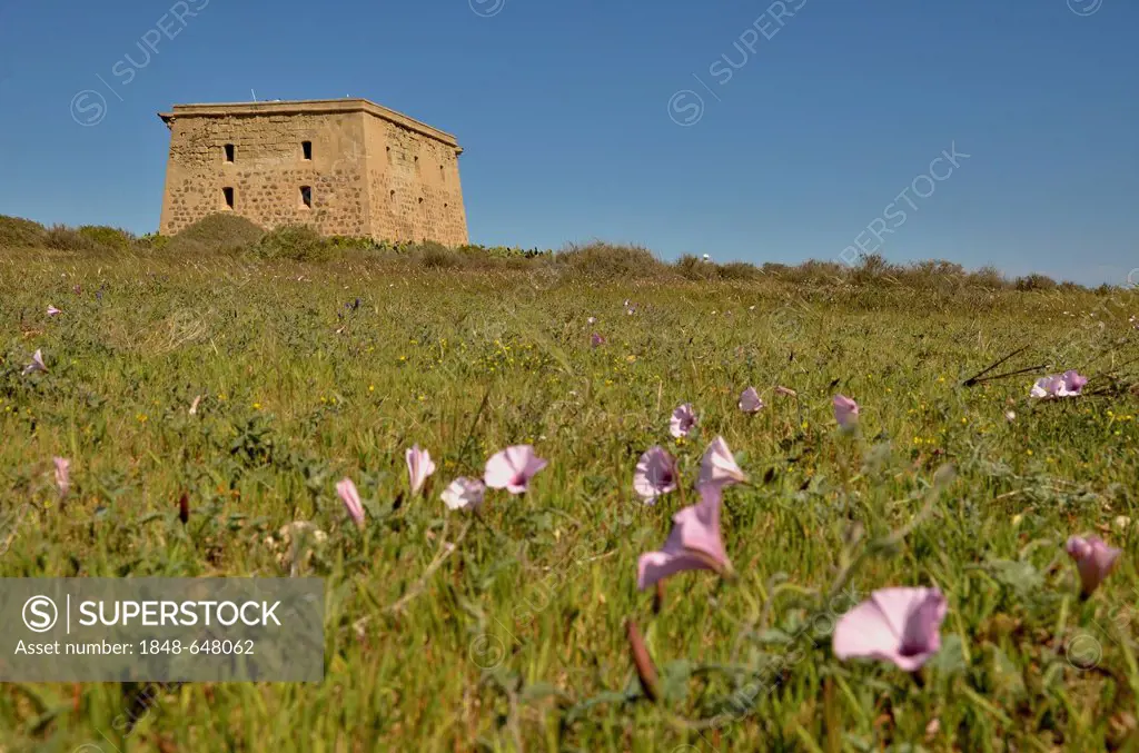 Torre de San José, former prison on the island of Tabarca, Isla de Tabarca, Alicante region, Costa Blanca, Spain, Europe
