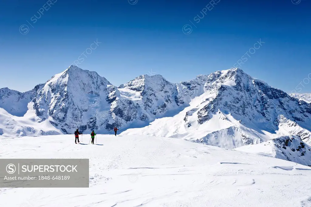 Cross-country skiers descending Hintere Schoentaufspitze Mountain, Solda in winter, looking towards Koenigsspitze, Zebru and Ortler mountains, Alto Ad...