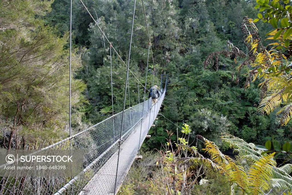 A hiker on a bridge over the Falls River, Abel Tasman National Park, Nelson, South Island, New Zealand