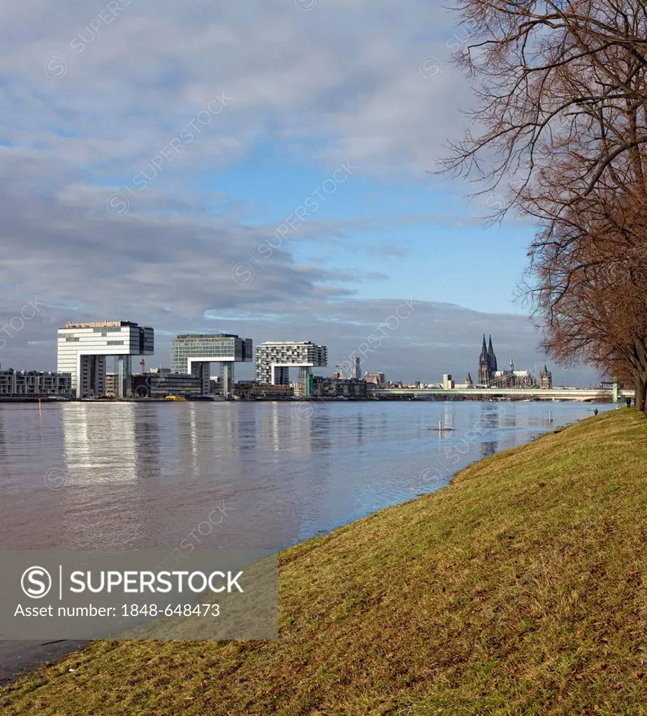 View over the polder meadows on the left bank of the Rhine River and the Kranhaus buildings at the Rheinauhafen harbour during high water, Rhine River...