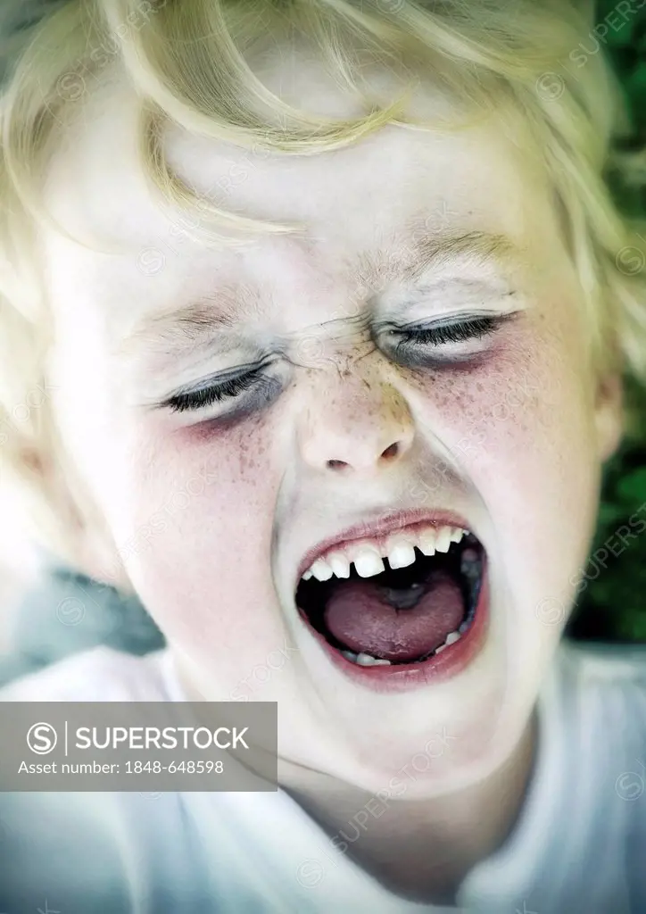 5-year-old boy crying